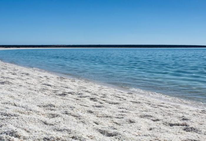 Pantai ini Pasirnya Dari Kerang